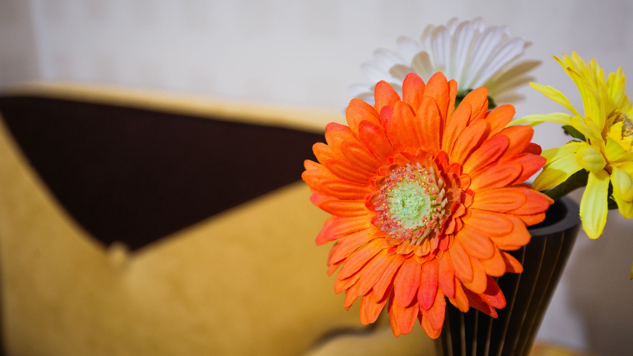 Photo of Others in Downtown