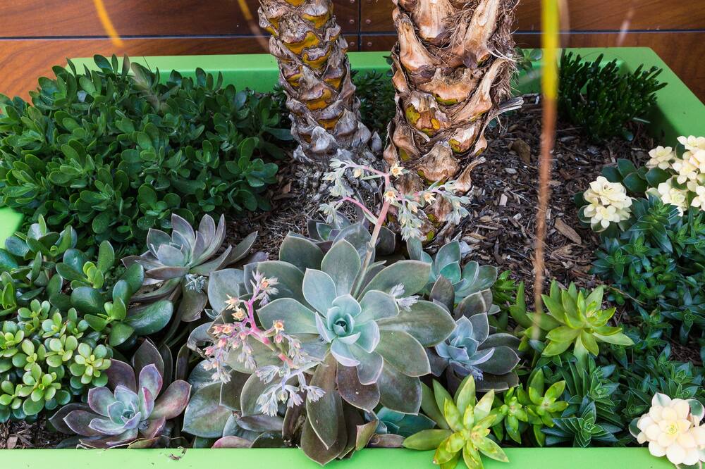 Photo of Outdoor in Downtown