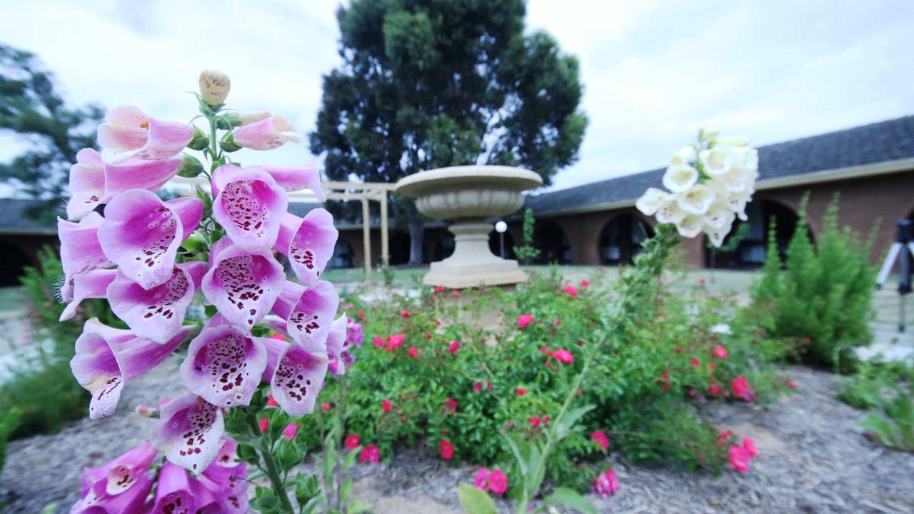 Photo of Outdoor in Alfredton