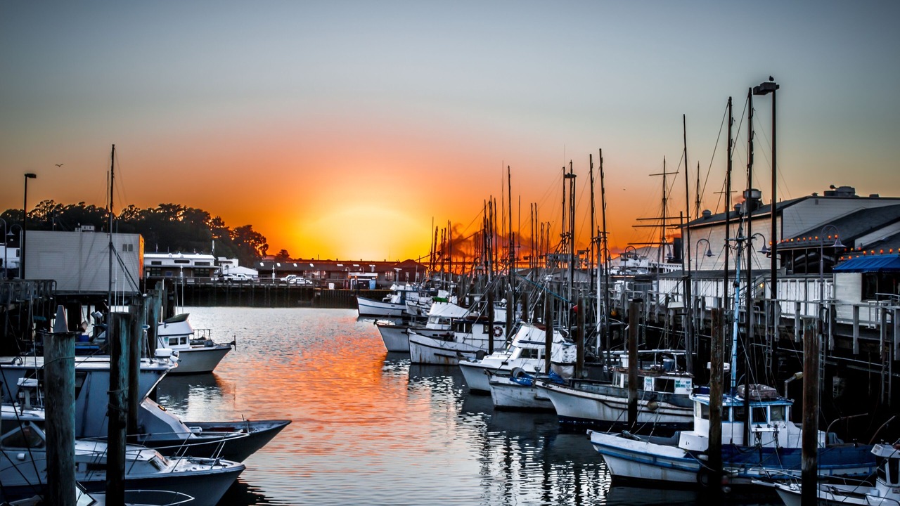 Photo of Others in Fisherman's Wharf