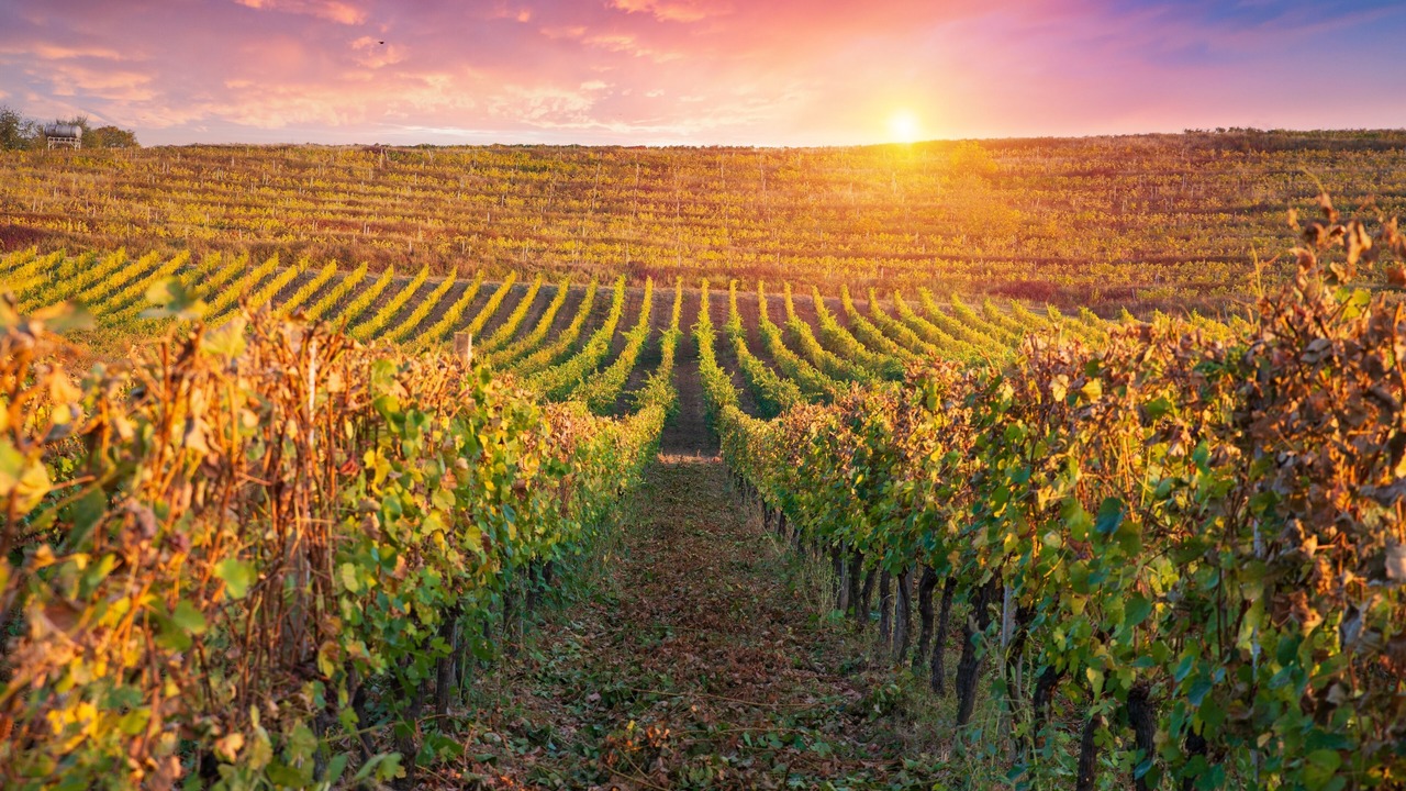 Photo of Others in Santa Rosa