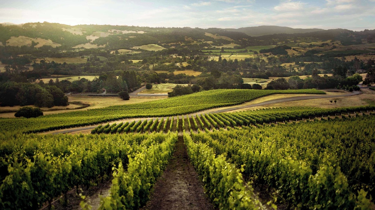 Photo of Others in Santa Rosa