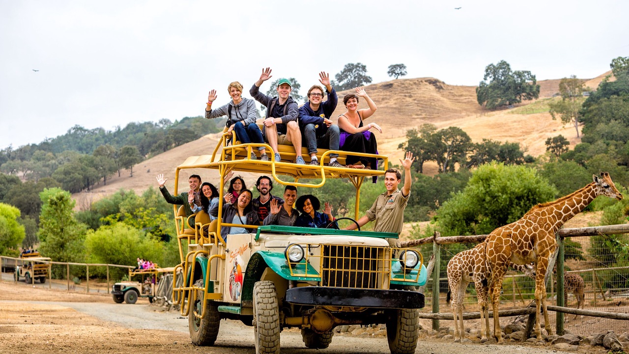 Photo of Others in Santa Rosa