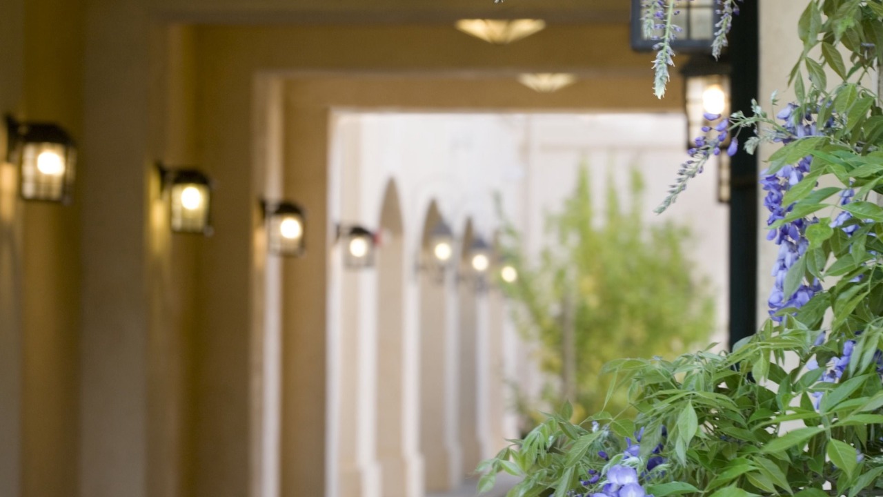 Photo of Outdoor in Santa Rosa