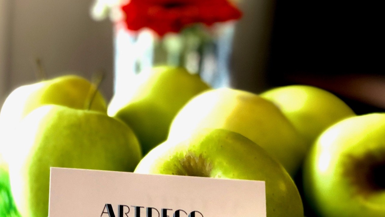 Photo of Others in La Madeleine