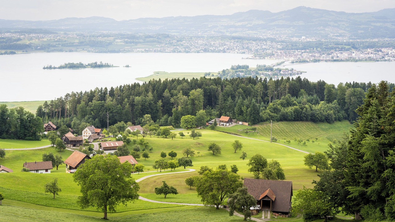 Photo of Others in Pfaeffikon