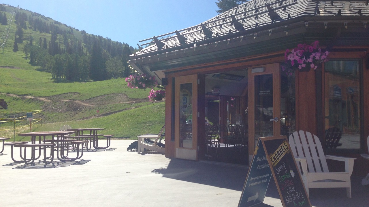 Photo of Others in Alta