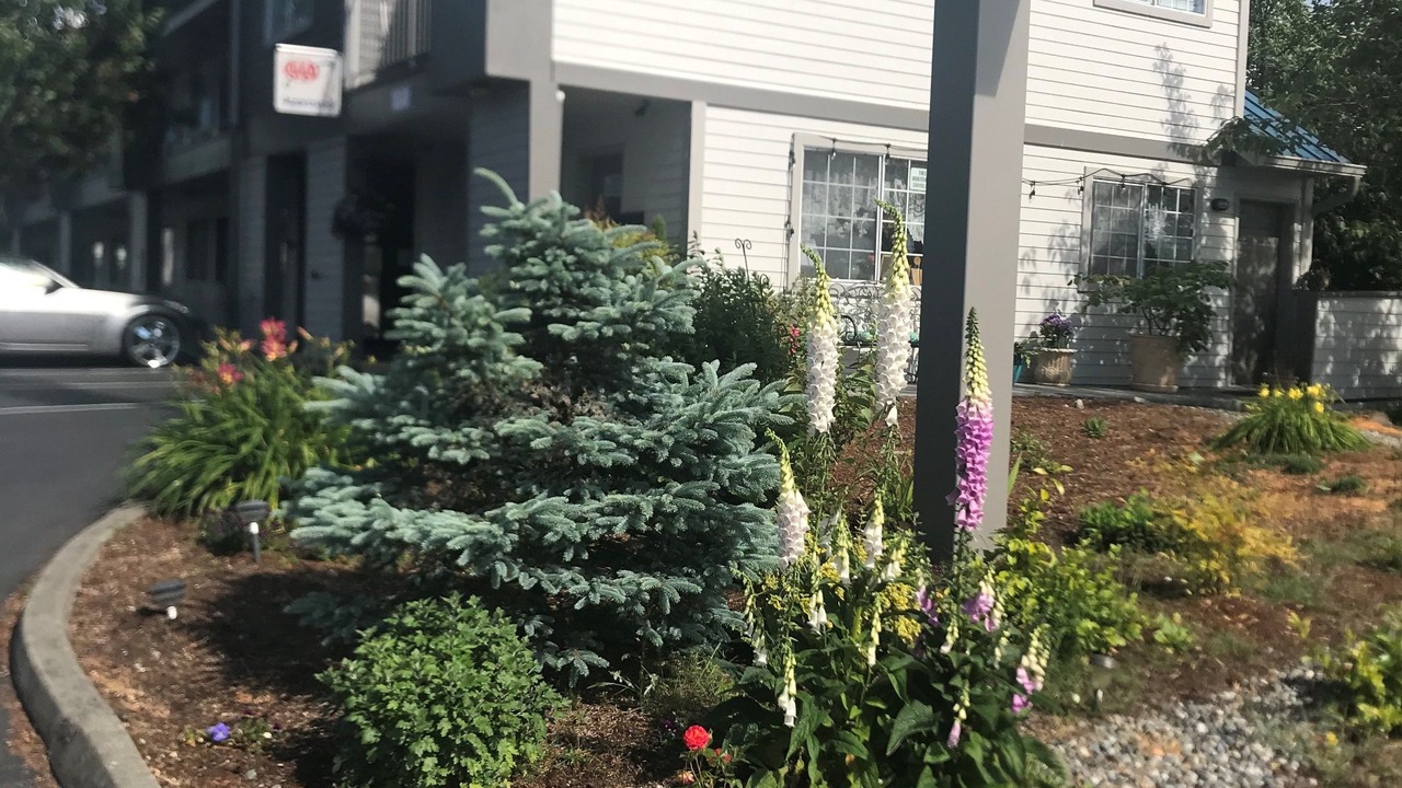 Photo of Buildings in Mount Vernon