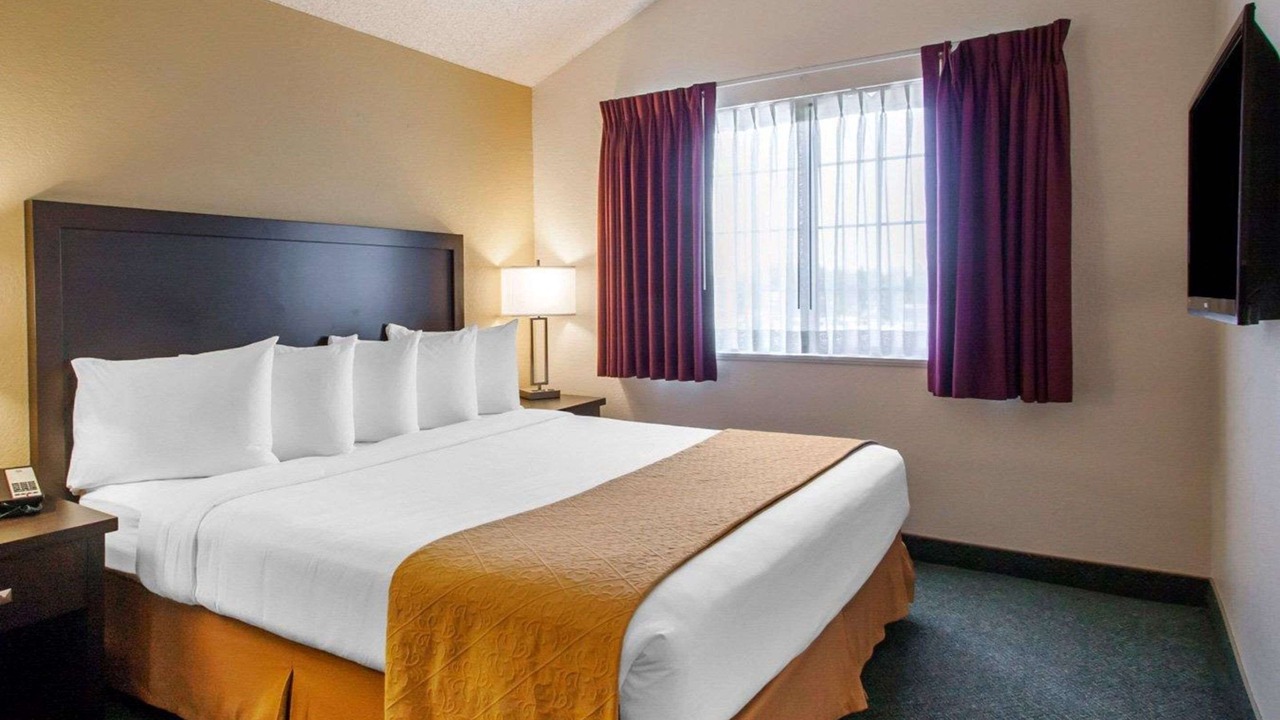 Photo of Others in Springfield