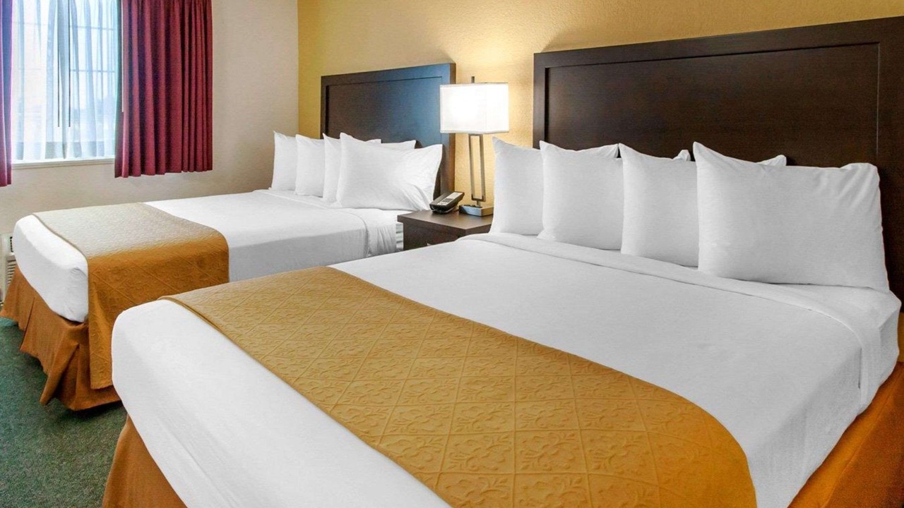 Photo of Others in Springfield