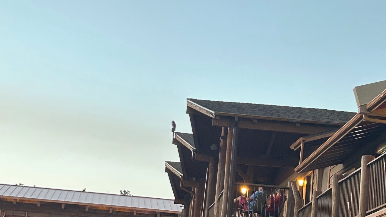 Photo of Outdoor in Estes Park