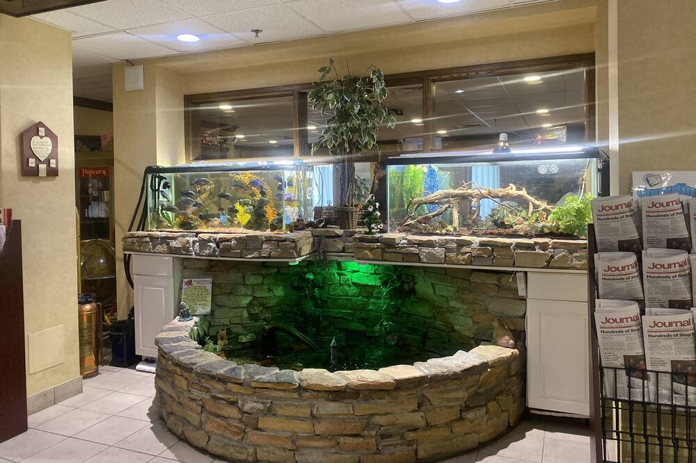 Photo of Others in Manchester