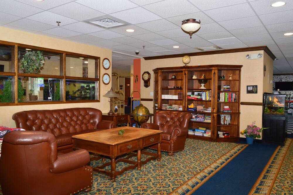 Photo of Others in Manchester