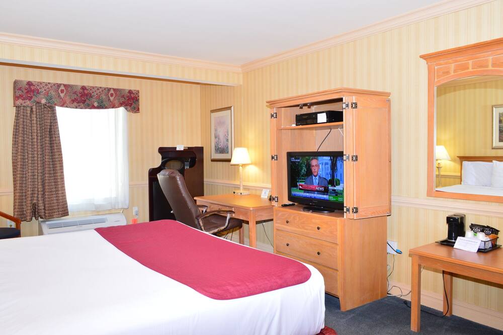 Photo of Others in Manchester