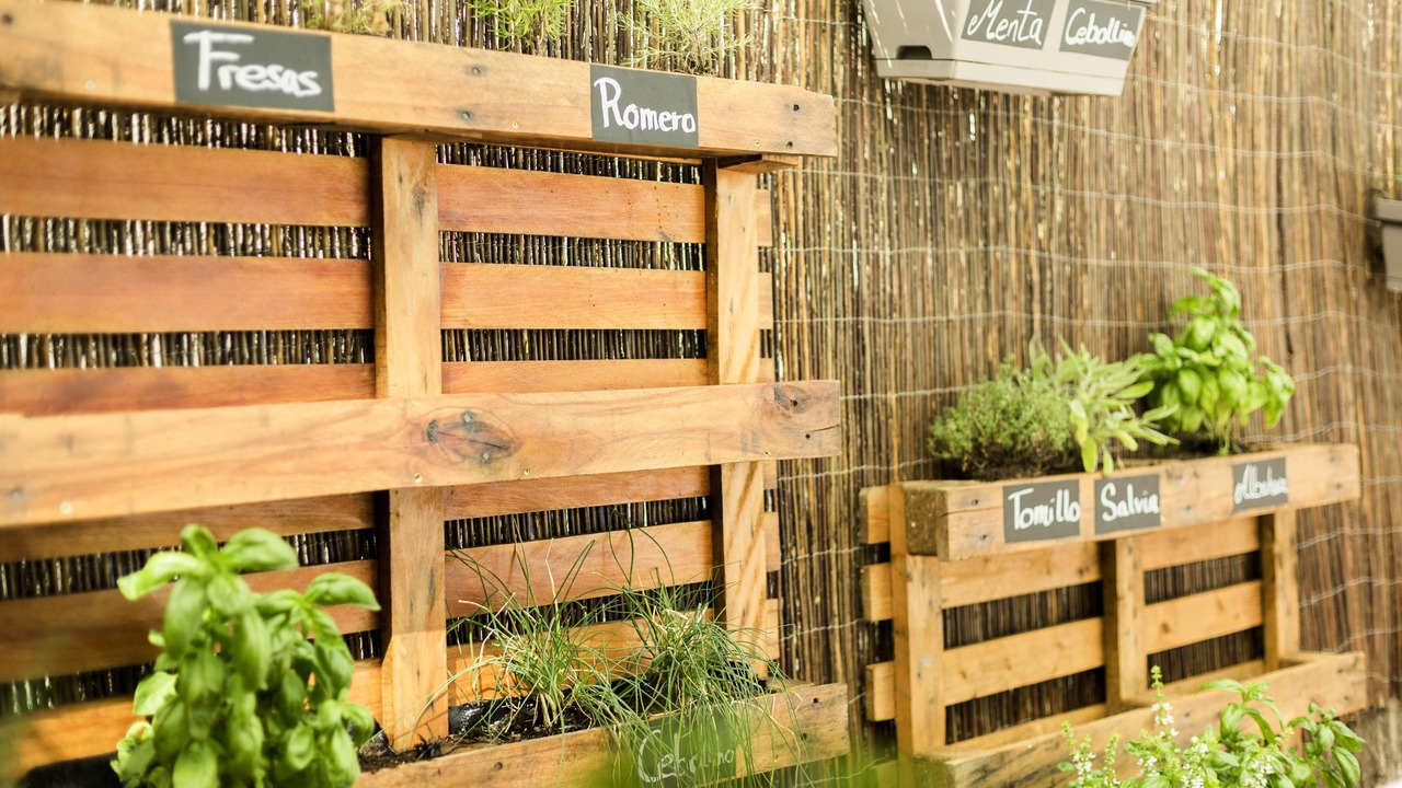 Photo of Outdoor in Castelldefels