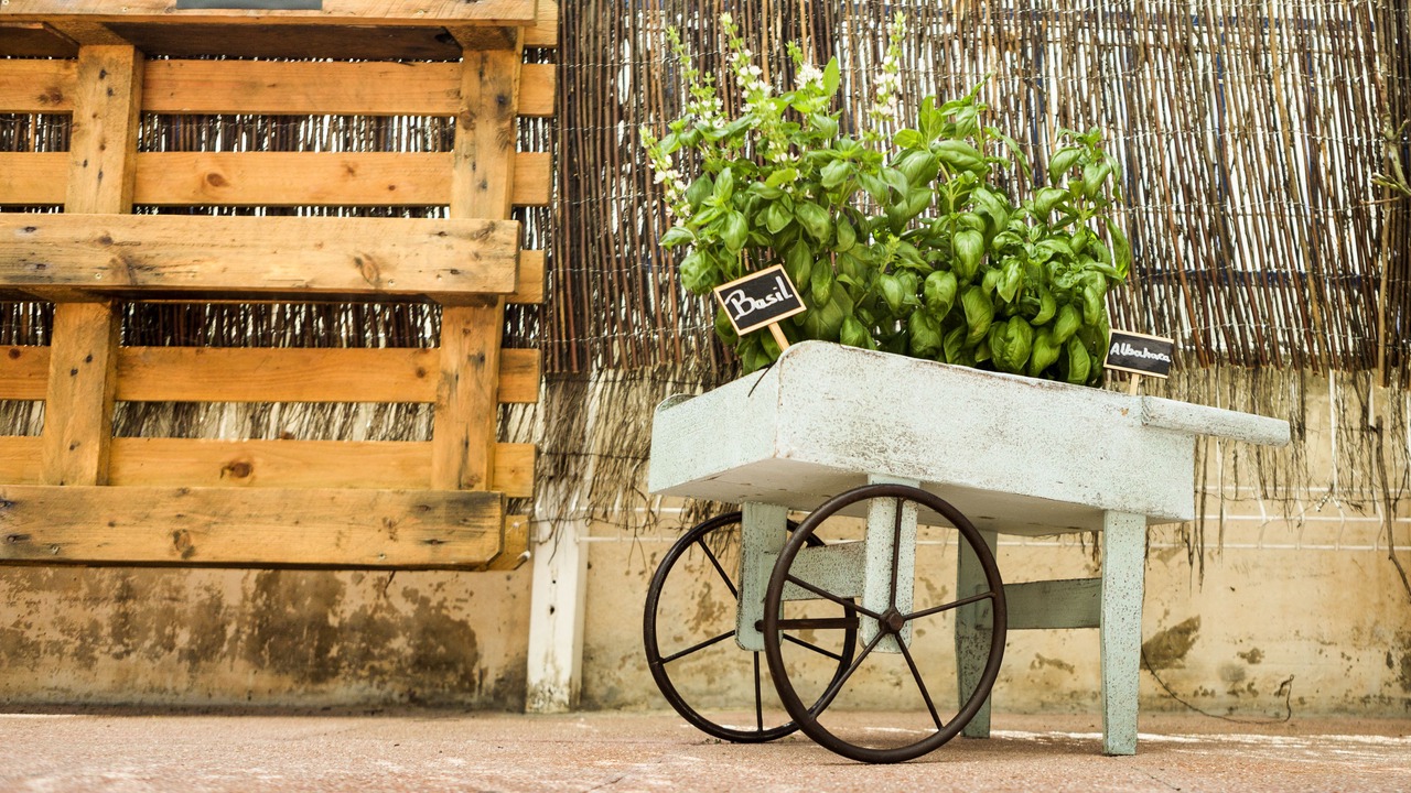 Photo of Outdoor in Castelldefels