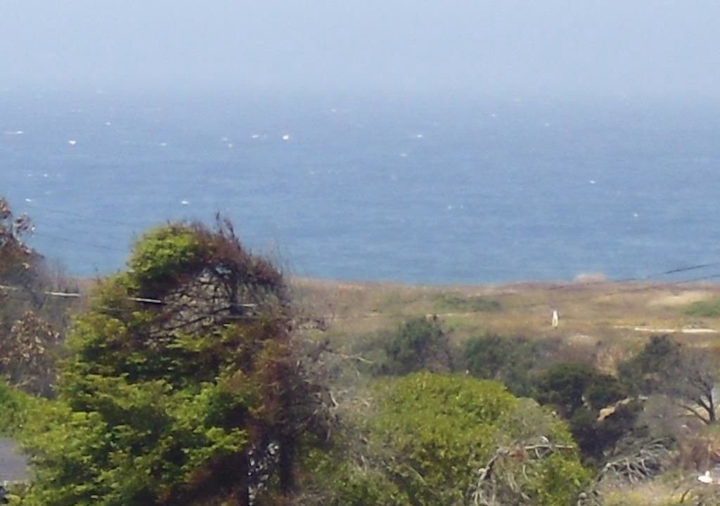 Photo of Others in Fort Bragg