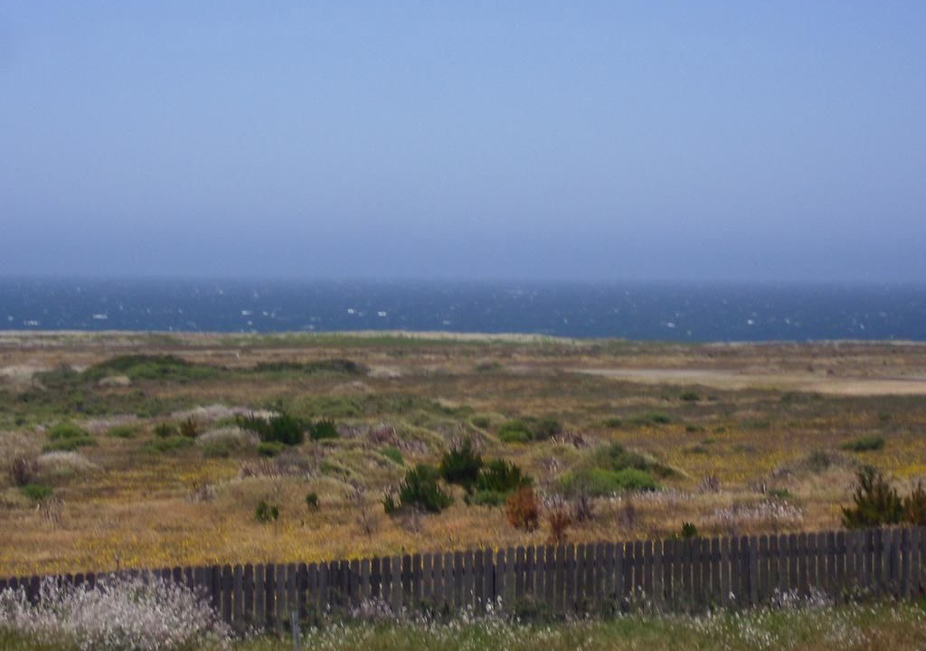 Photo of Others in Fort Bragg