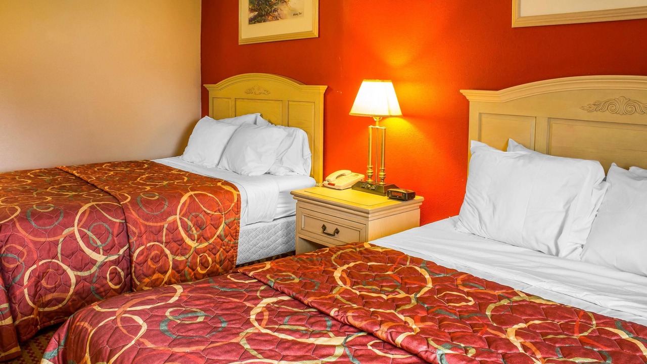 Photo of Others in Walnut