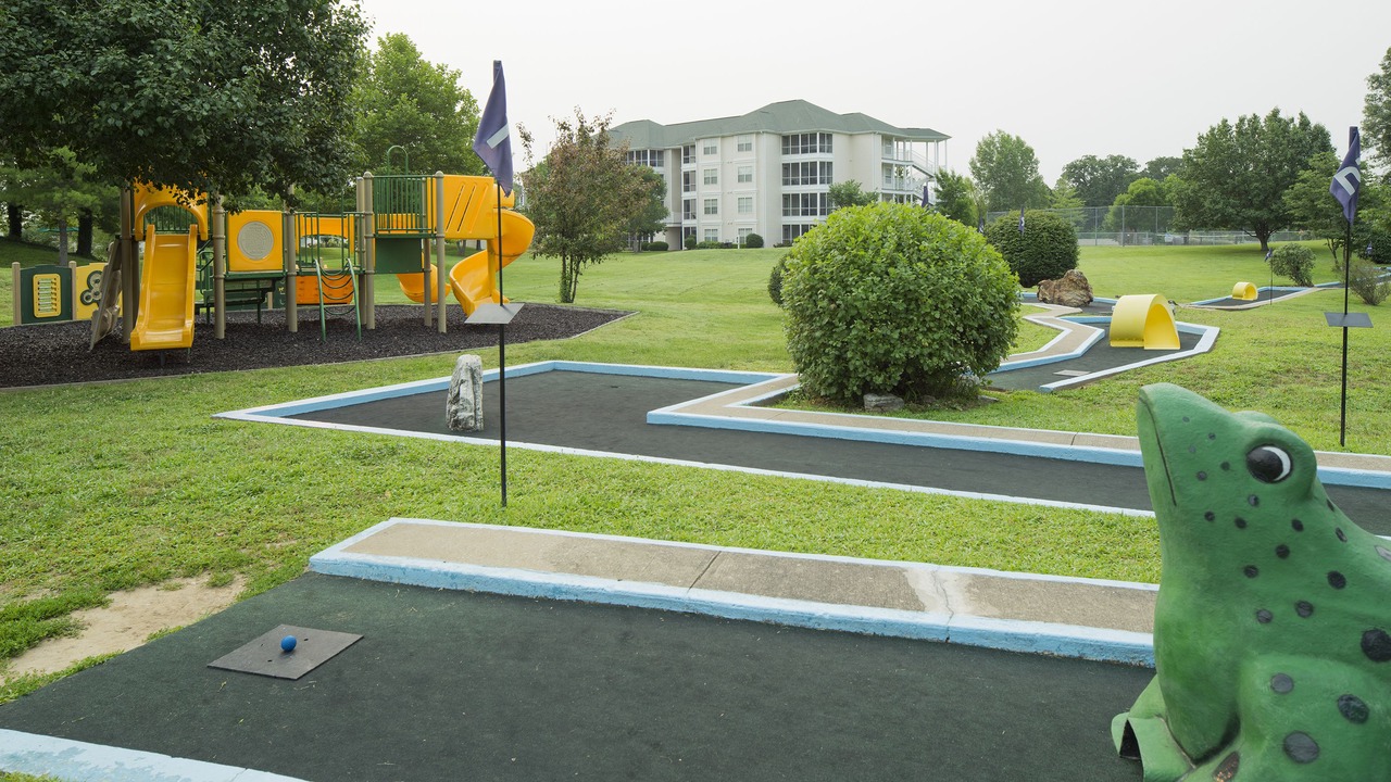 Photo of Others in Table Rock