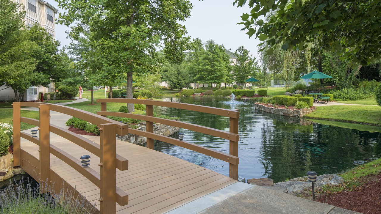 Photo of Others in Table Rock