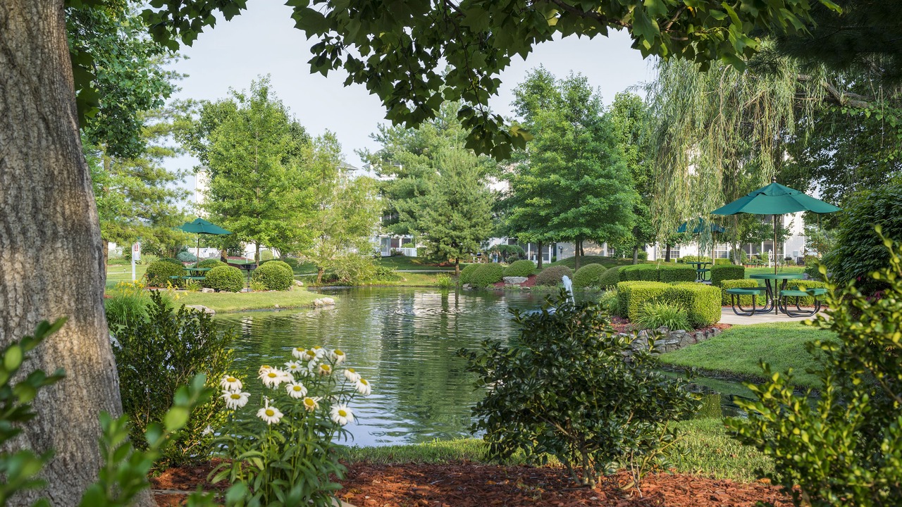 Photo of Others in Table Rock