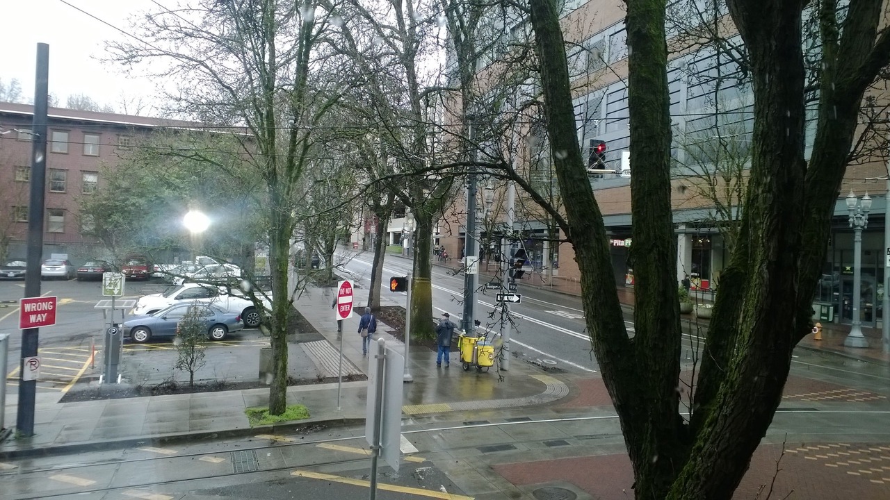 Photo of Others in Downtown Portland