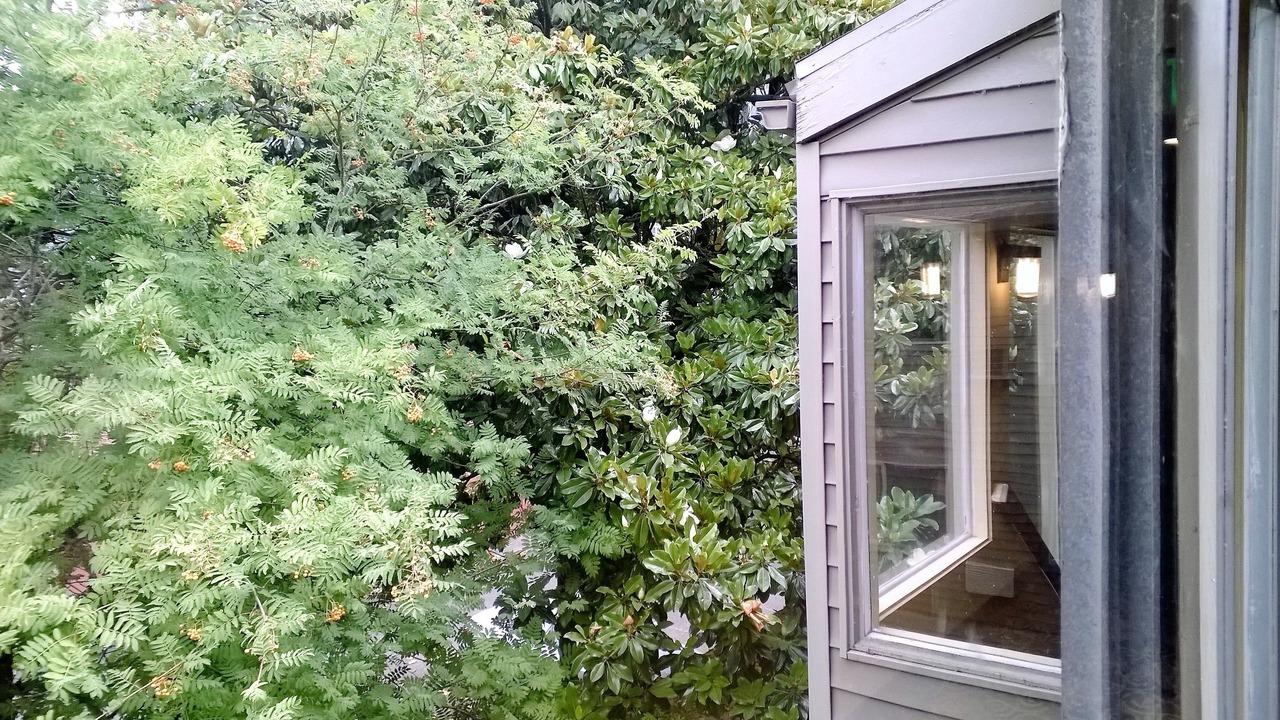 Photo of Others in Downtown Portland