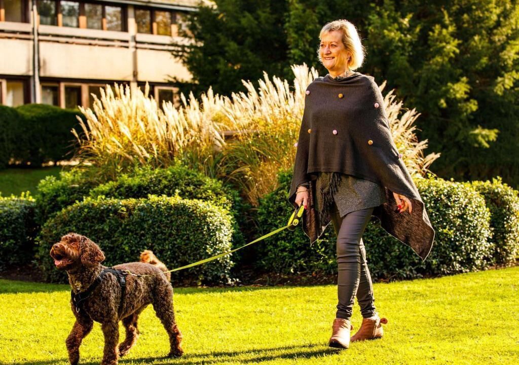 Photo of Outdoor in Box Hill