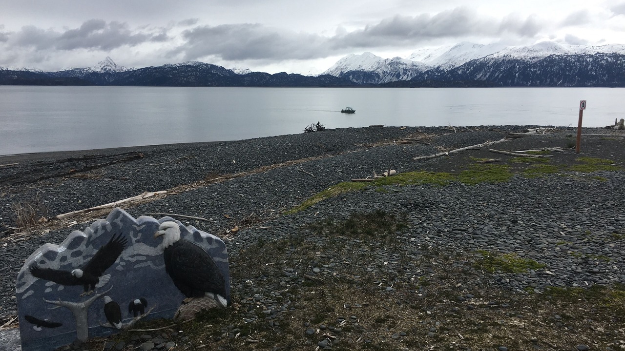 Photo of Others in Homer