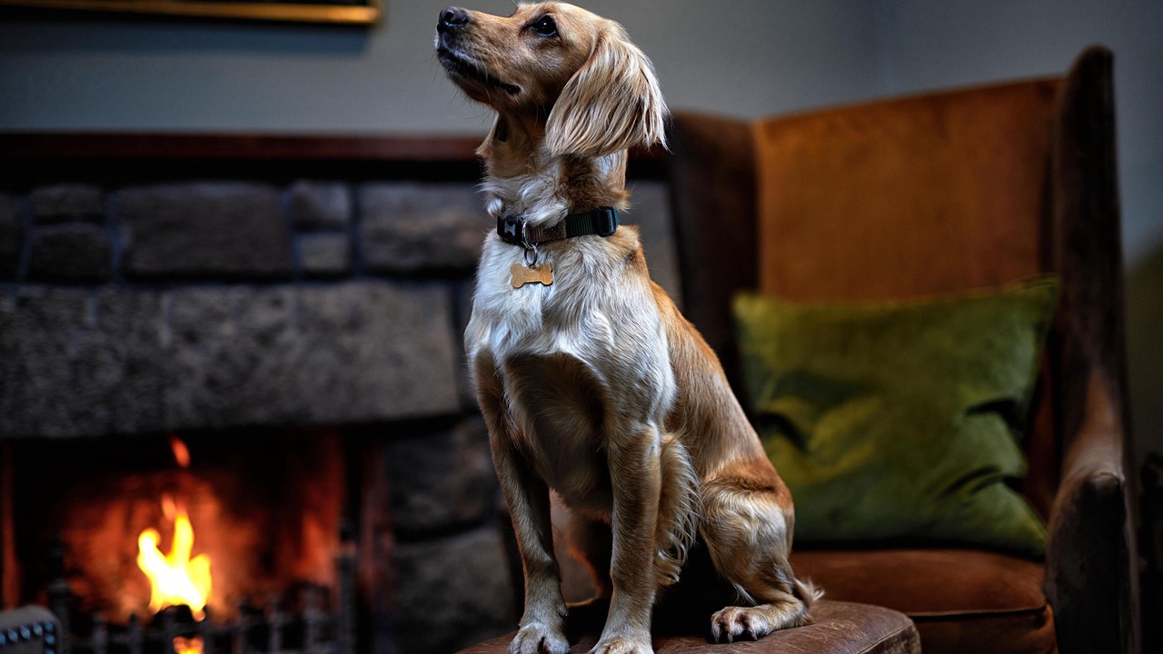 Photo of Others in Inveraray