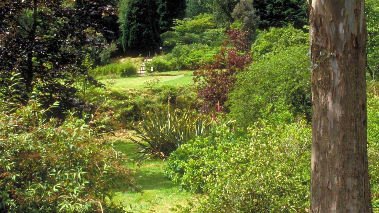 Photo of Others in Inveraray