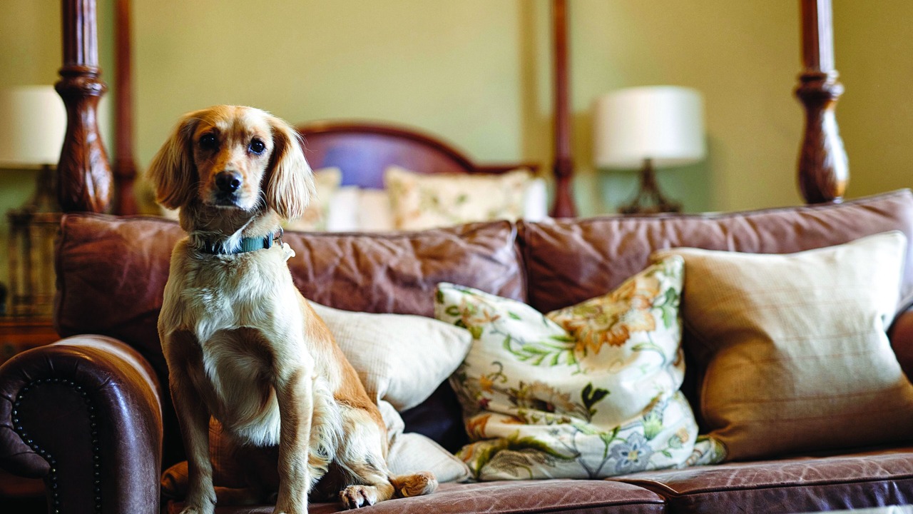 Photo of Others in Inveraray