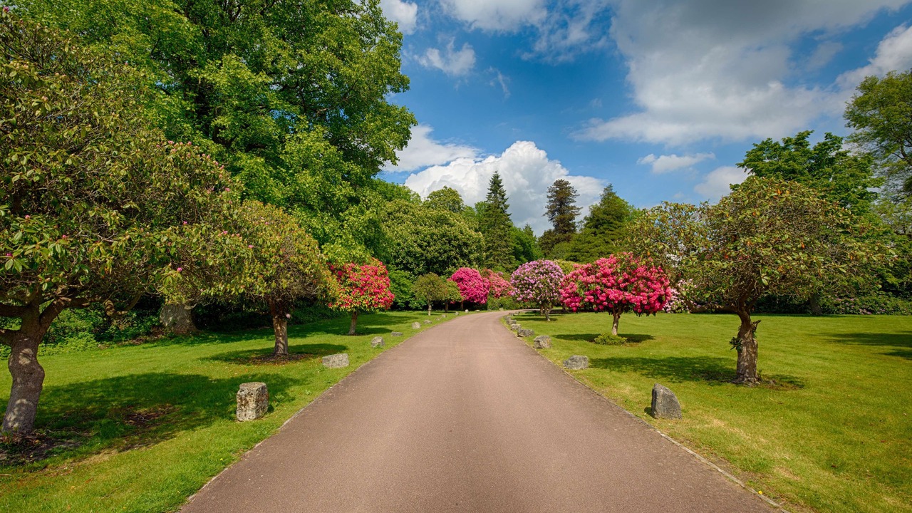 Photo of Outdoor in Chilworth
