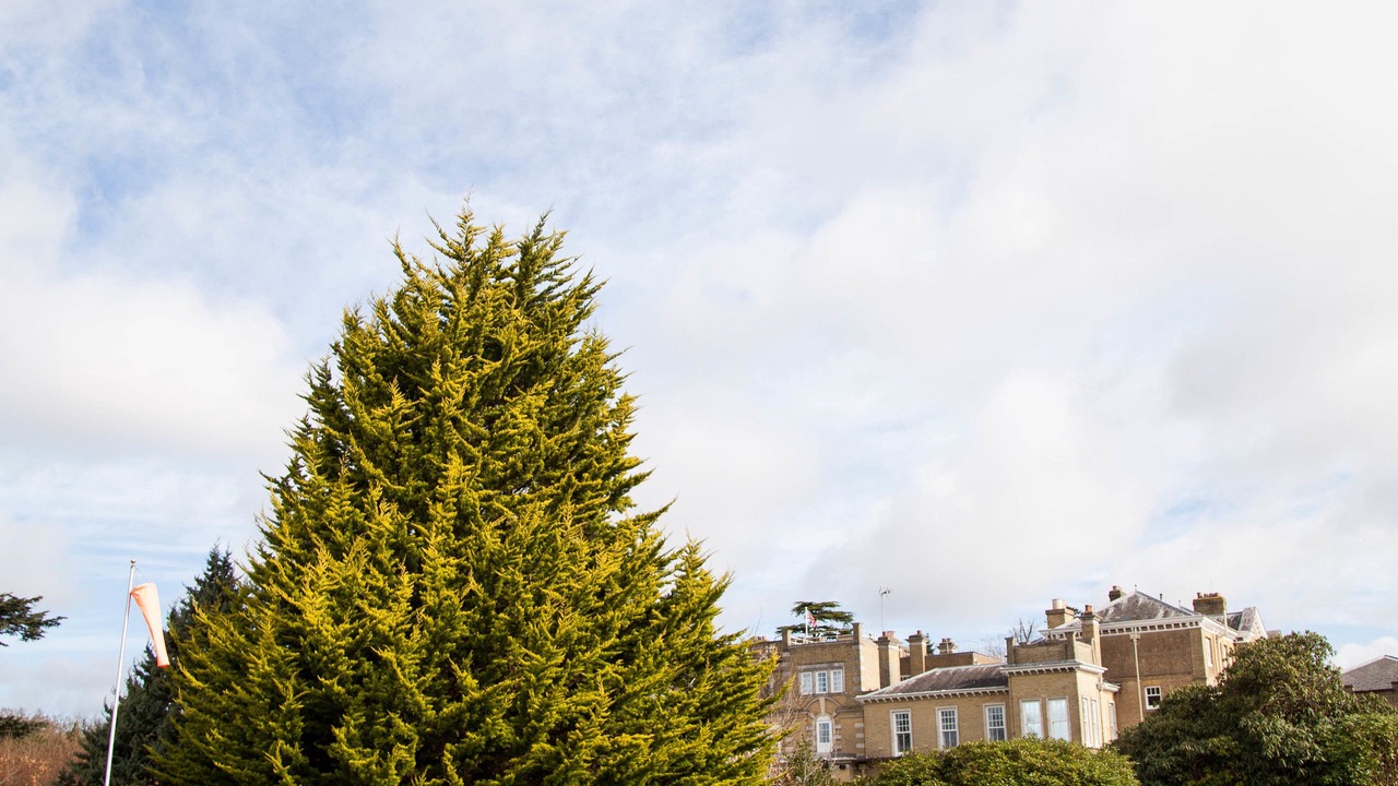 Photo of Others in Chilworth