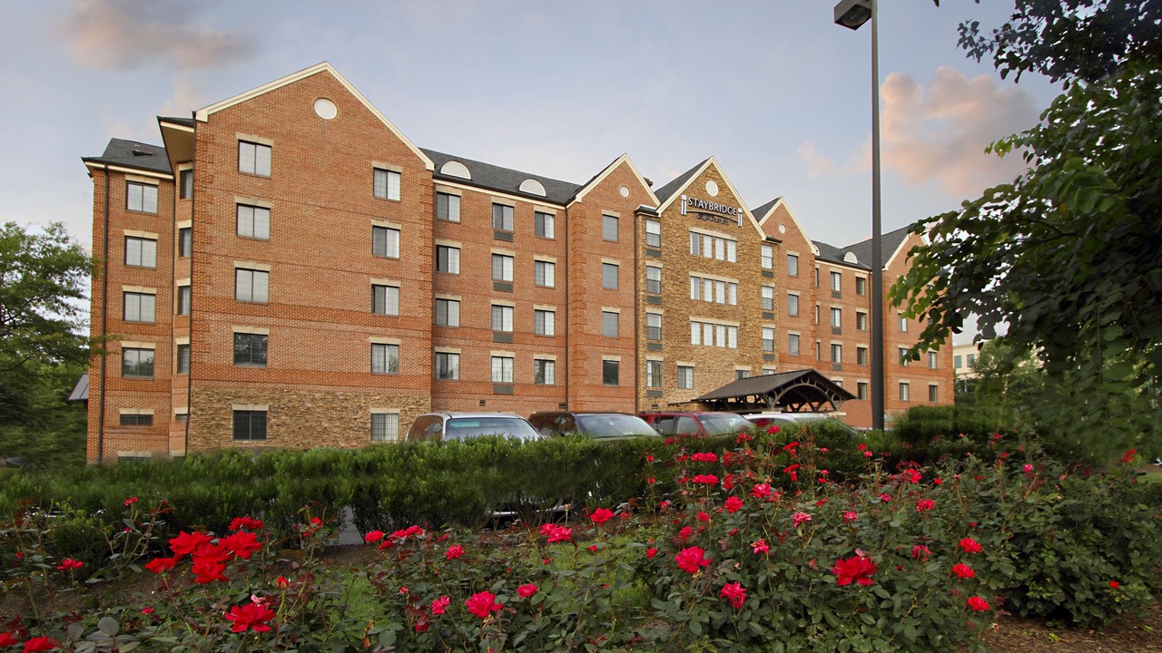 Photo of Outdoor in McLean