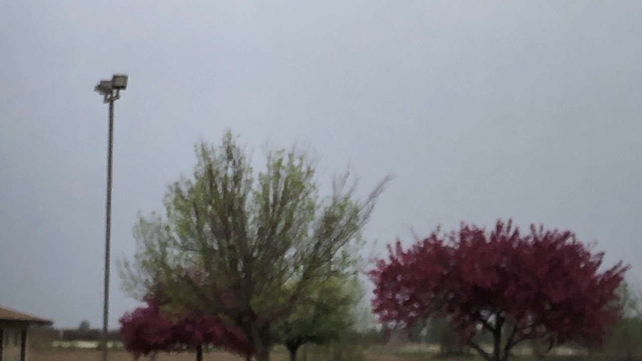 Photo of Others in Onawa