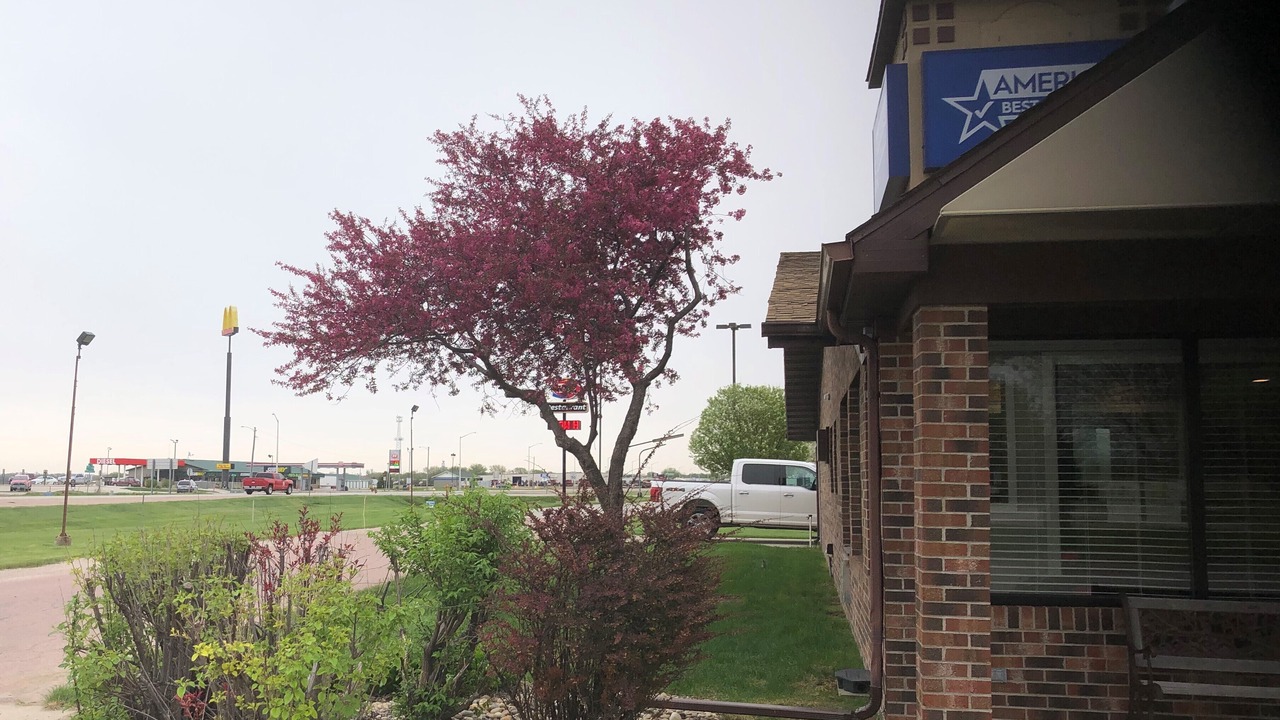 Photo of Outdoor in Onawa