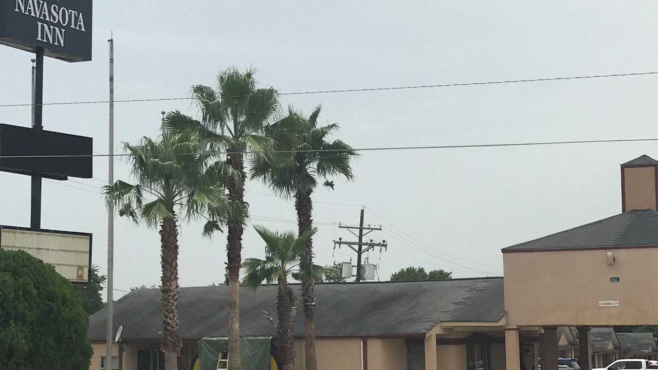 Photo of Outdoor in Navasota