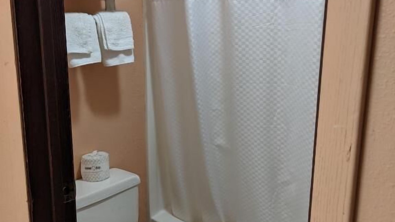 Photo of Others in Shelbyville