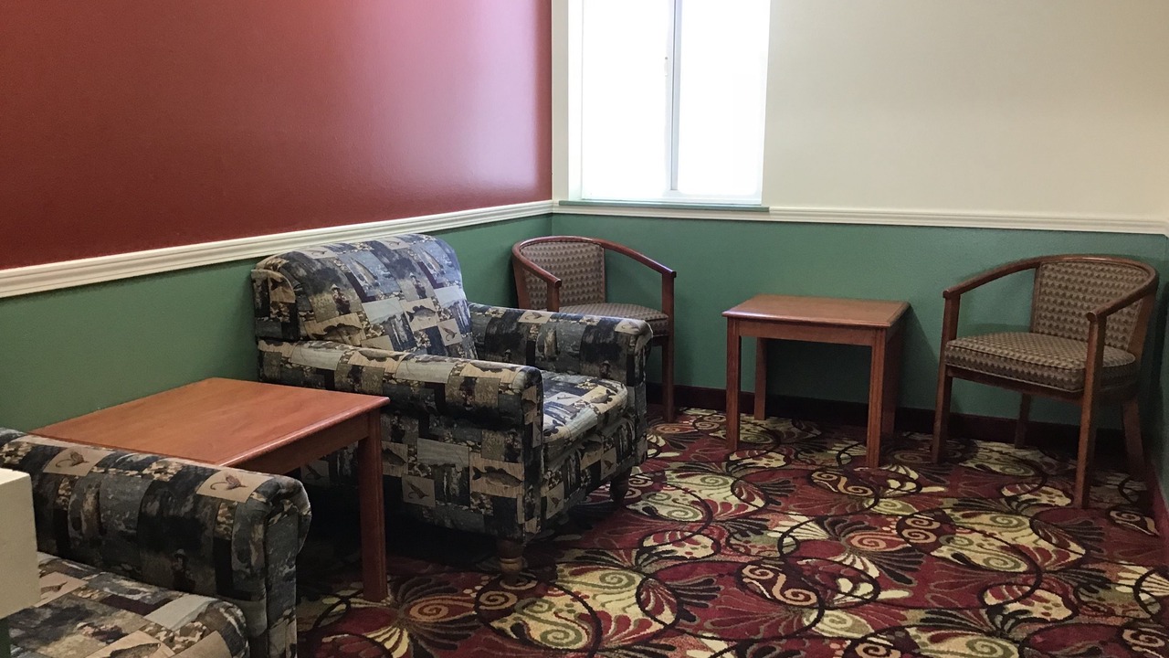 Photo of Others in Salmon