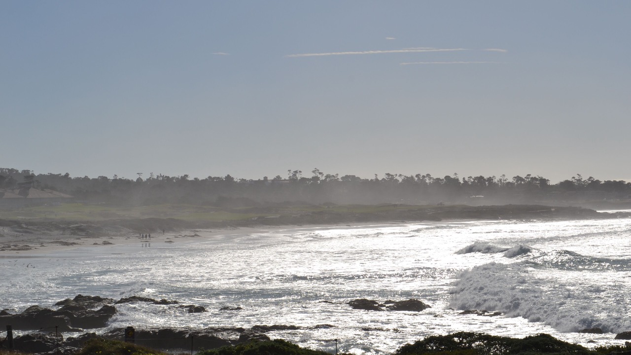 Photo of Others in Pacific Grove