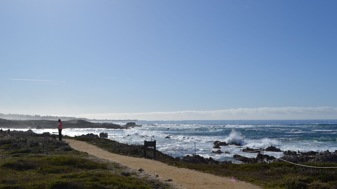Photo of Others in Pacific Grove