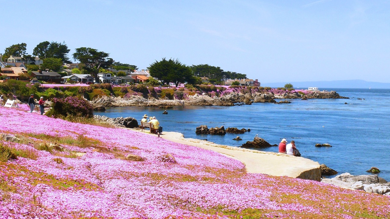 Photo of Outdoor in Pacific Grove