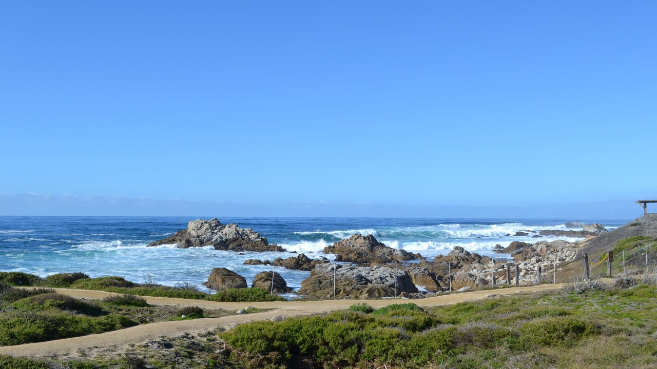 Photo of Others in Pacific Grove