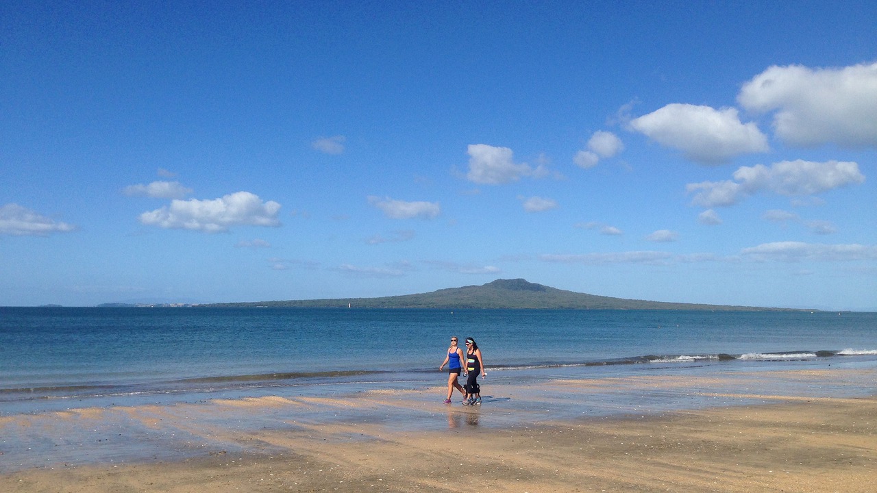 Photo of Others in Takapuna