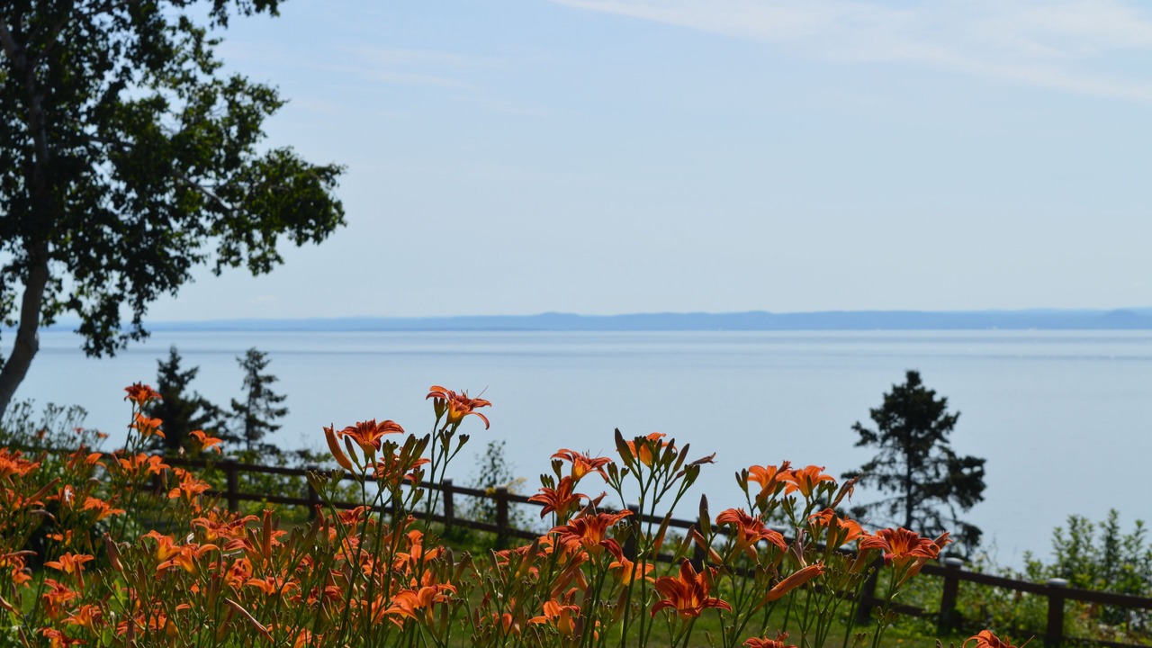 Photo of Others in Isle aux Coudres