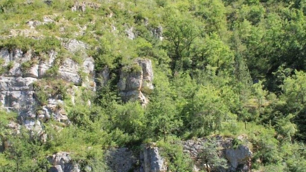 Photo of Others in Mostuejouls