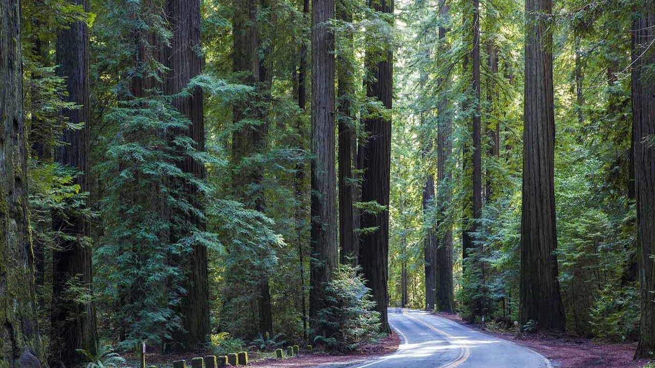 Photo of Outdoor in Willits