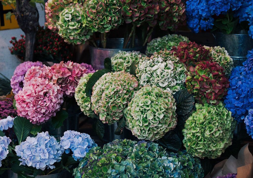 Photo of Outdoor in Belgravia